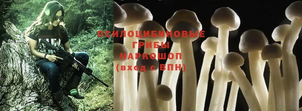гидра Баксан