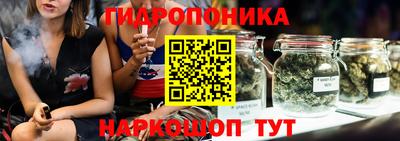 гашик Вышний Волочёк