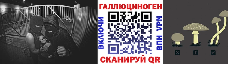 Псилоцибиновые грибы ЛСД  Балтийск 