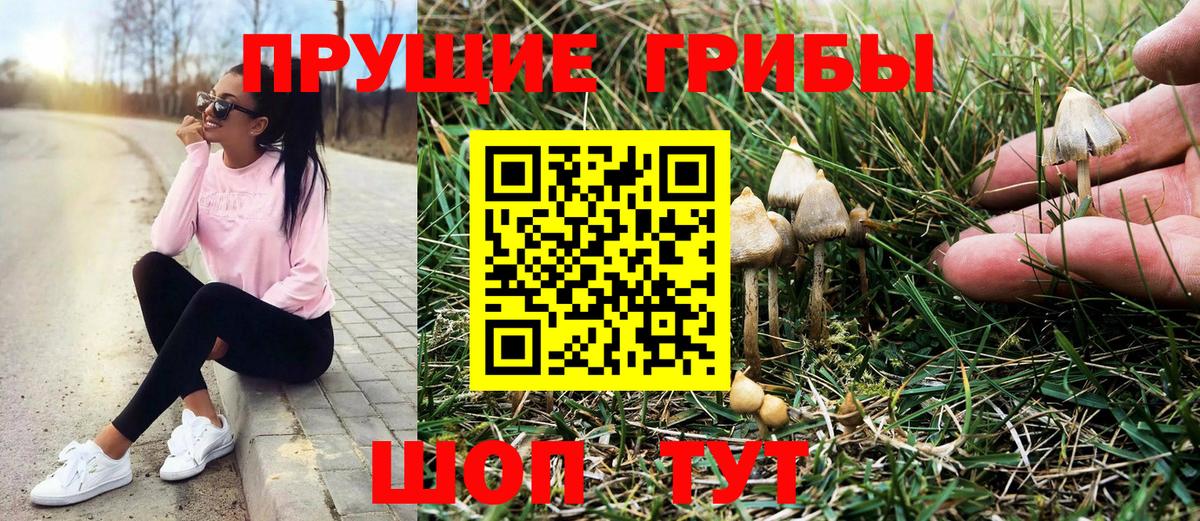 Балтийск  Галлюциногенные грибы Magic Shrooms  Галлюциногенные грибы прущие грибы  Вход с VPN 